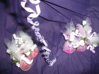 /album/galeria-de-fotos/imagem-183-jpg/